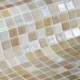 Ezarri Iridescent Sahara 25