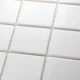 Противоскользящая мозаика Non-Slip White Antislip 48х48 — изображение 2