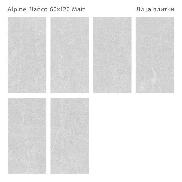 Керамогранит матовый Silk 60х120 ALPINE BIANCO — изображение 2