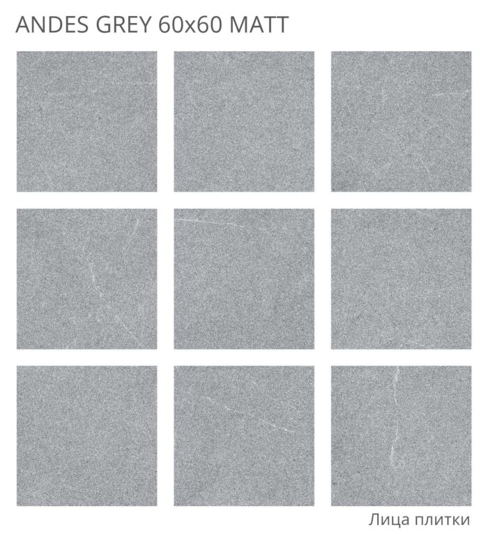 Керамогранит матовый Rizzi 60x60 ANDES GREY 60x60 MATT — изображение 2