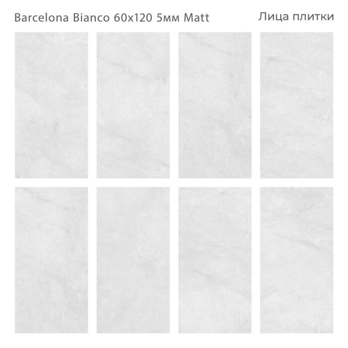 Керамогранит матовый Marbles BARCELONA BIANCO 60x120 5мм MATT — изображение 3