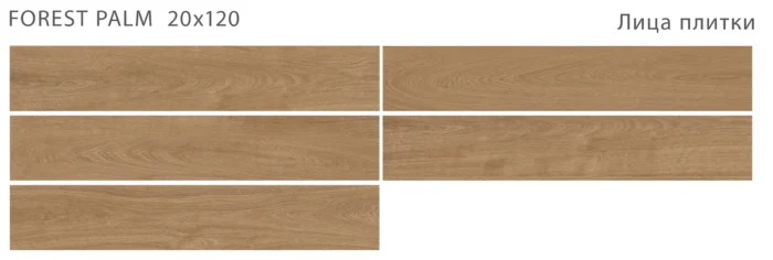 Керамогранит Forest  FOREST PALM 20x120 MATT — изображение 2