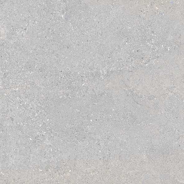 FOUNDRY_GREY_P1_1C Керамогранит матовый Rizzi 60x60 SATURN GREY 60x60 MATT — изображение 1