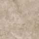 Керамогранит матовый Silk 60х60 MYSTICAL CHARM CAMEL
