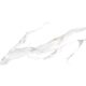 Керамогранит LunaRossa VENUS STATUARIO 60x120 SATIN