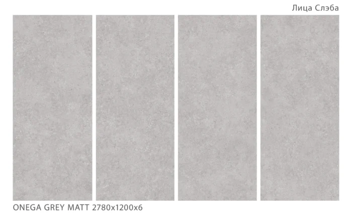 Керамический слэб Matt  ONEGA GREY MATT 2780х1200х6мм — изображение 2