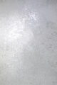 Керамогранит Arcadia Ceramica ARCSTONE GREY 60x120 см — изображение 7