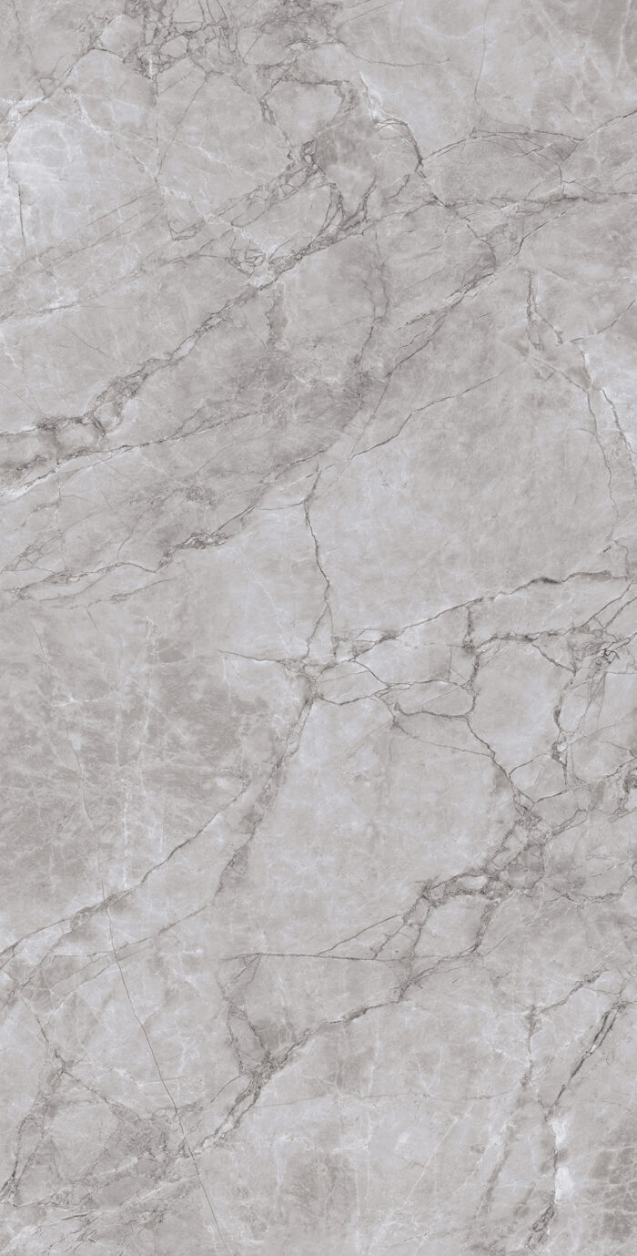 Керамогранит Arcadia Ceramica ARCTIC GREY 60x120 см — изображение 5