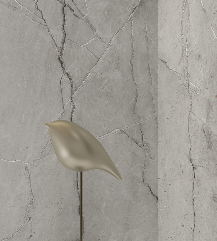 Керамогранит Arcadia Ceramica CONDOR LIGHT GREY 60x120 см — изображение 3