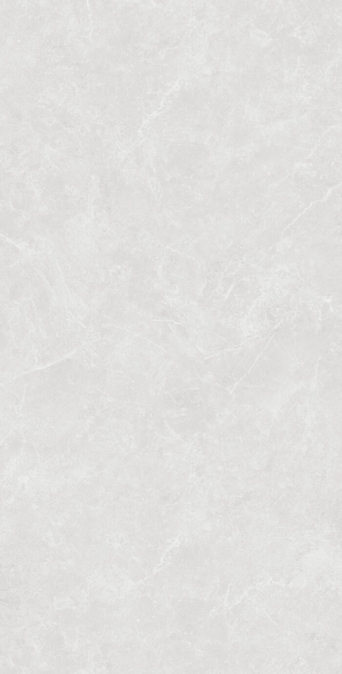 Керамогранит Arcadia Ceramica OVIEDO SILVER 60x120 см — изображение 7