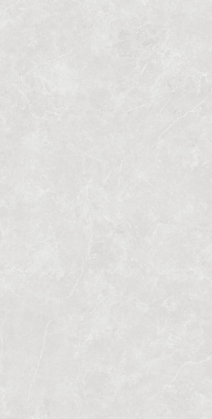 Керамогранит Arcadia Ceramica OVIEDO SILVER 60x120 см — изображение 6