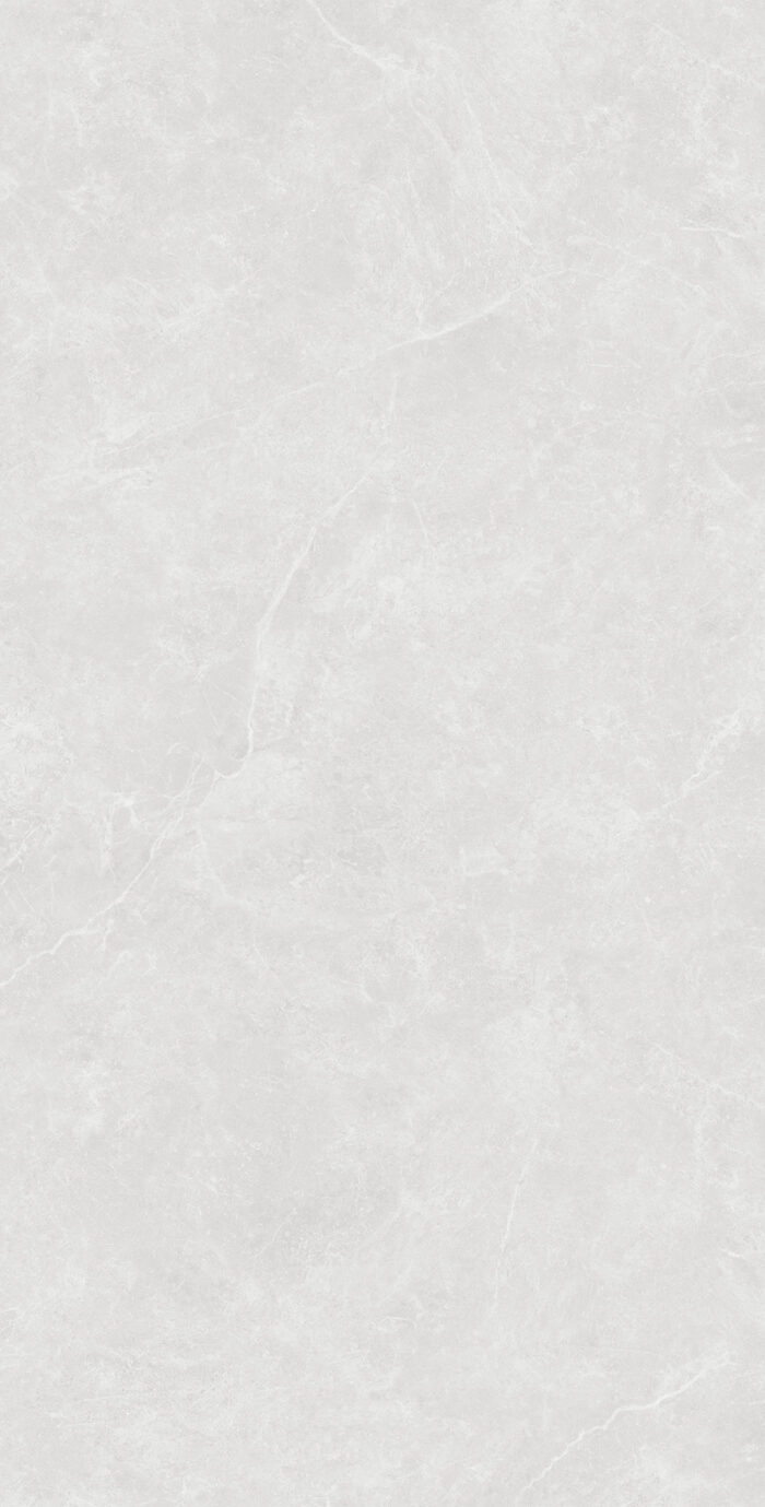 Керамогранит Arcadia Ceramica OVIEDO SILVER 60x120 см — изображение 8
