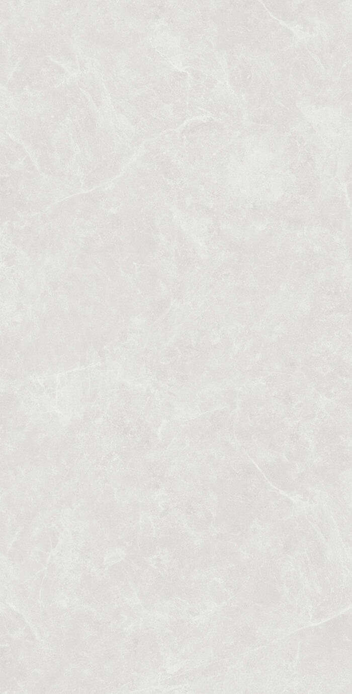 Керамогранит Arcadia Ceramica OVIEDO SILVER 60x120 см — изображение 4