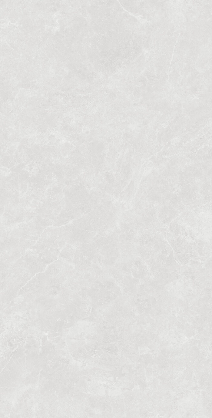 Керамогранит Arcadia Ceramica OVIEDO SILVER 60x120 см — изображение 5