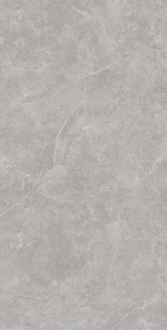 Керамогранит Arcadia Ceramica OVIEDO GRIS 60x120 см — изображение 5