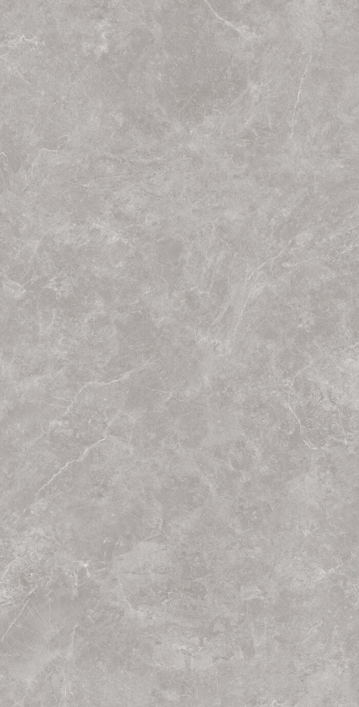Керамогранит Arcadia Ceramica OVIEDO GRIS 60x120 см — изображение 7
