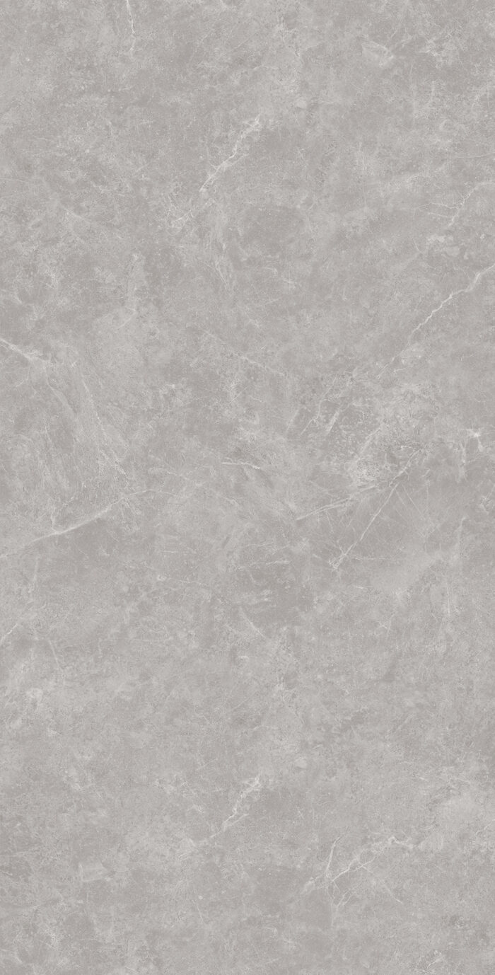 Керамогранит Arcadia Ceramica OVIEDO GRIS 60x120 см — изображение 4
