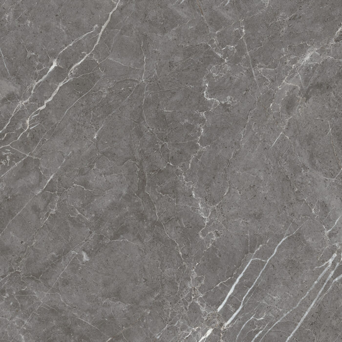 Керамогранит Arcadia Ceramica ESPERIA GRIGIO 60x60 см — изображение 4