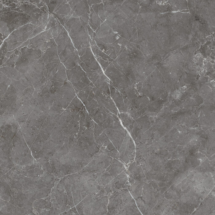 Керамогранит Arcadia Ceramica ESPERIA GRIGIO 60x60 см — изображение 5