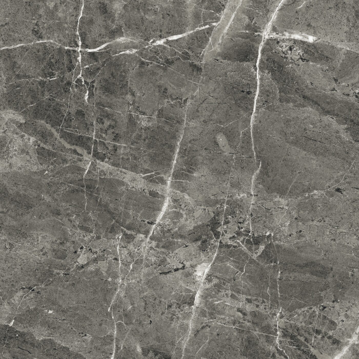 Керамогранит Arcadia Ceramica FLORENCIA GREY 60x60 см — изображение 5