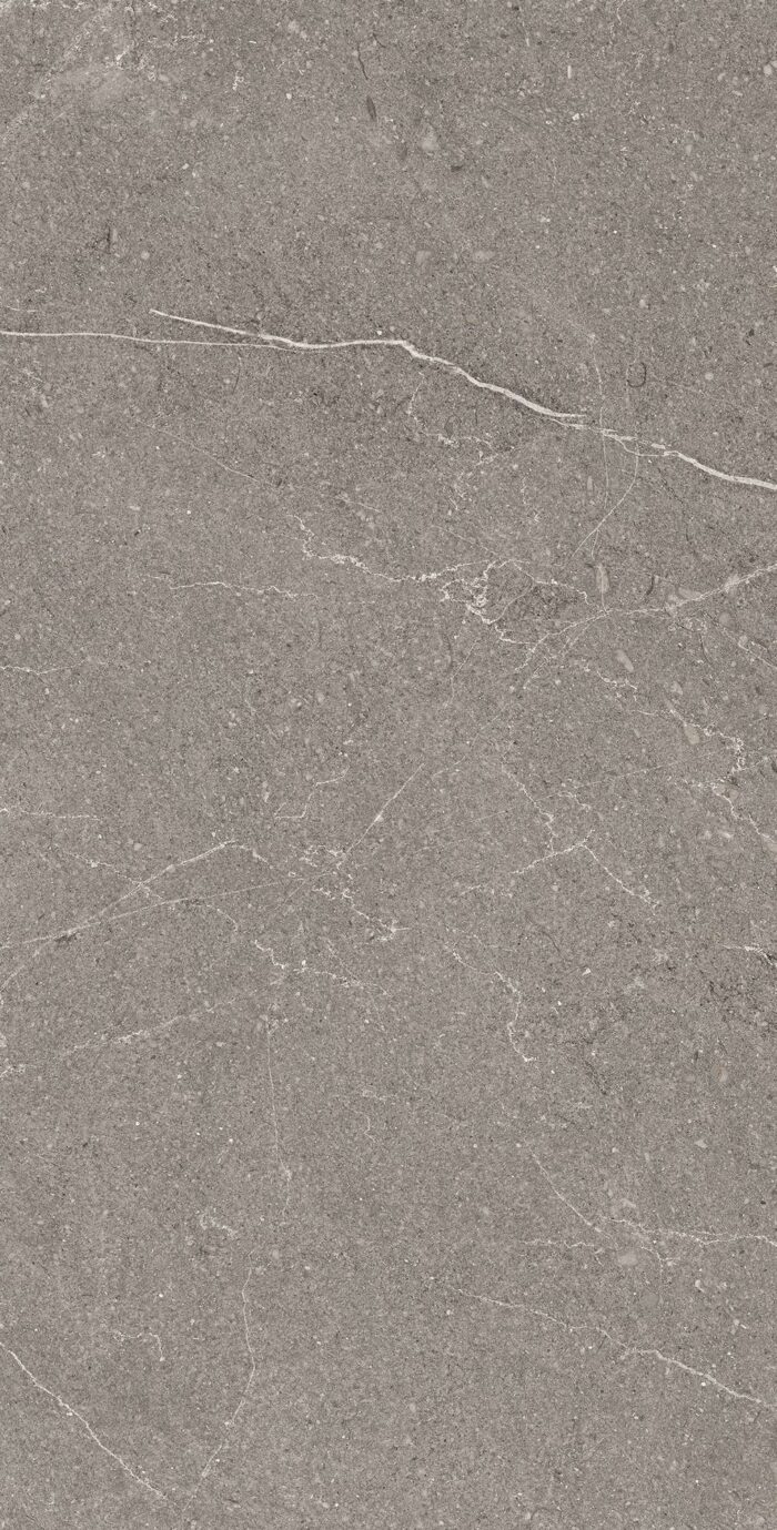 Керамогранит Arcadia Ceramica EQUISTONE GRAPHITE 60x120 см — изображение 2