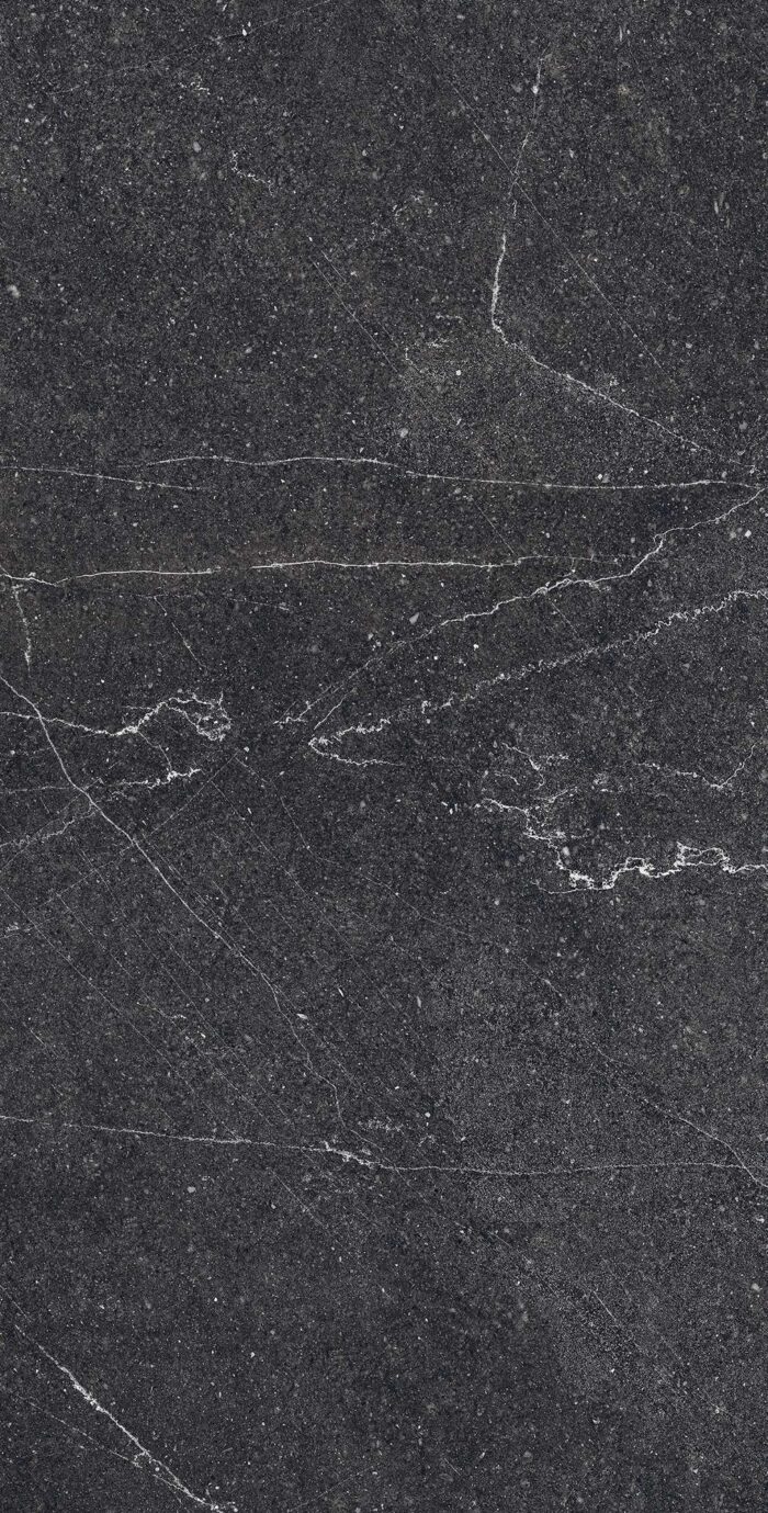 Керамогранит Arcadia Ceramica EQUISTONE CHARCOL 60x120 см — изображение 5