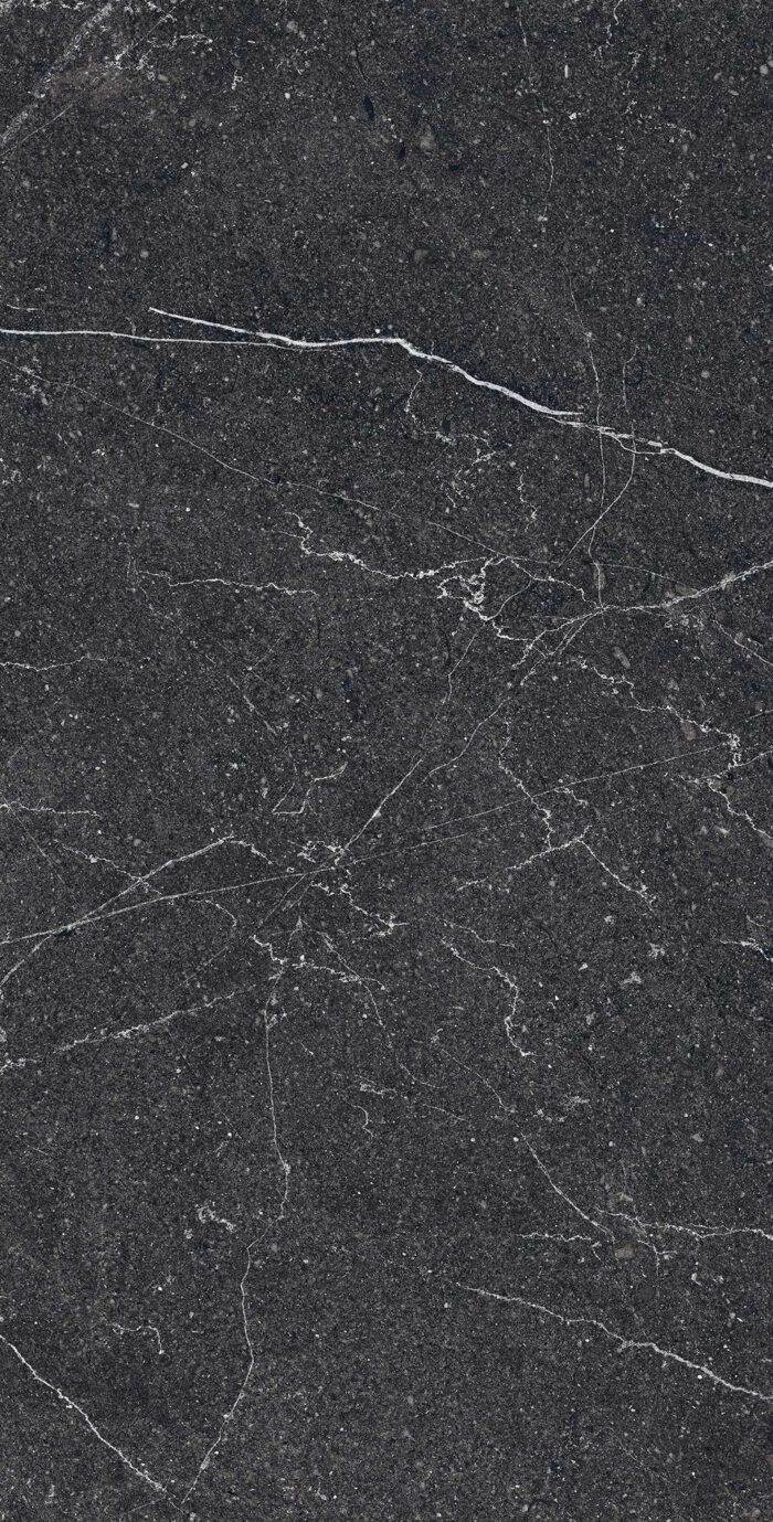 Керамогранит Arcadia Ceramica EQUISTONE CHARCOL 60x120 см — изображение 2