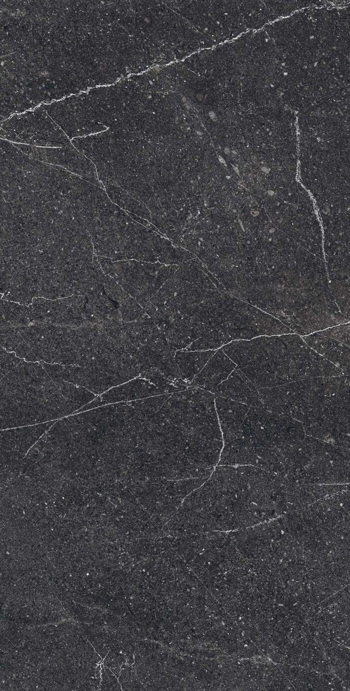 Керамогранит Arcadia Ceramica EQUISTONE CHARCOL 60x120 см — изображение 3