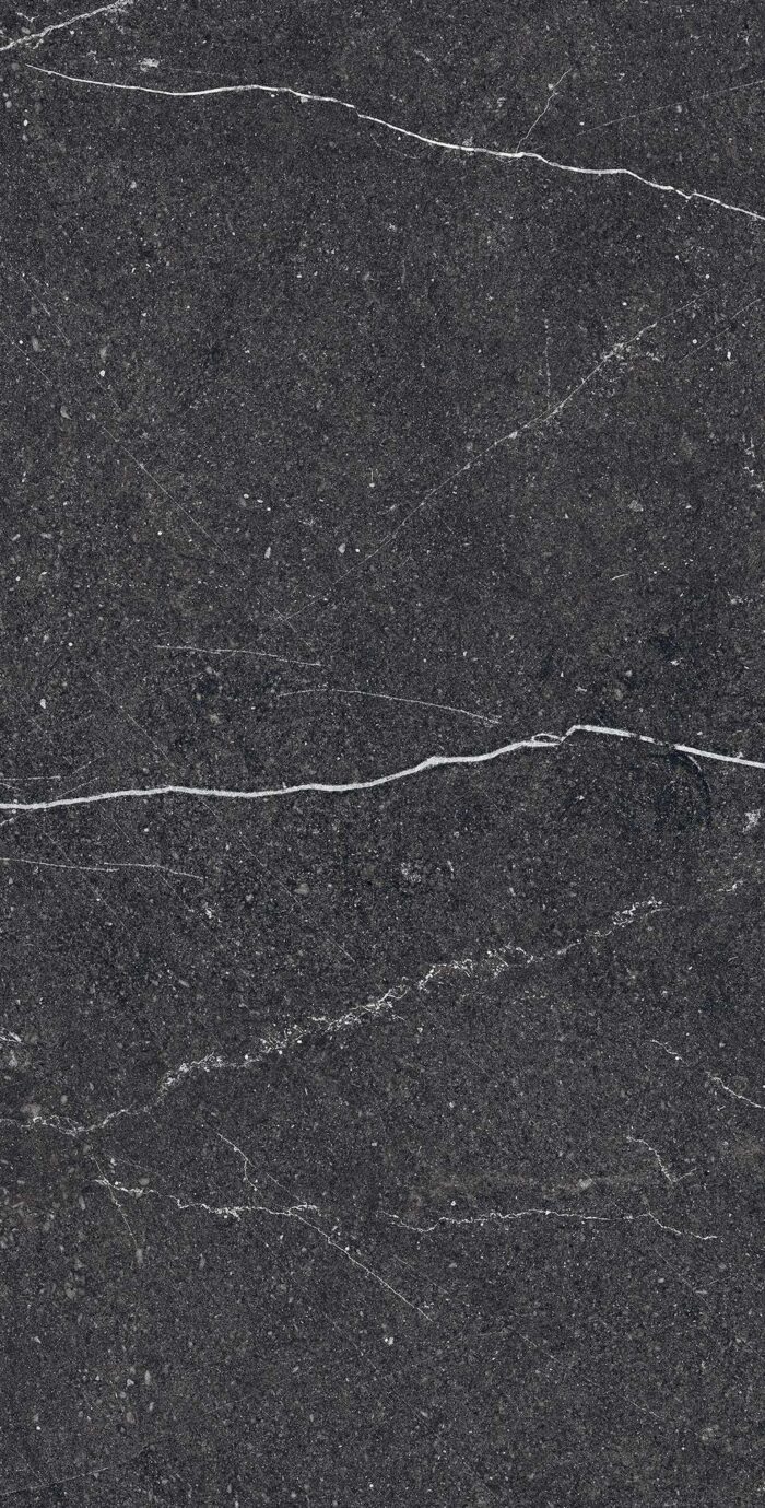 Керамогранит Arcadia Ceramica EQUISTONE CHARCOL 60x120 см — изображение 6