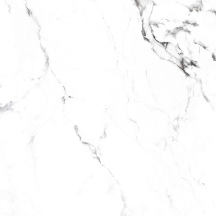 Керамогранит Arcadia Ceramica BORGHINI SILVER 60x60 см — изображение 19