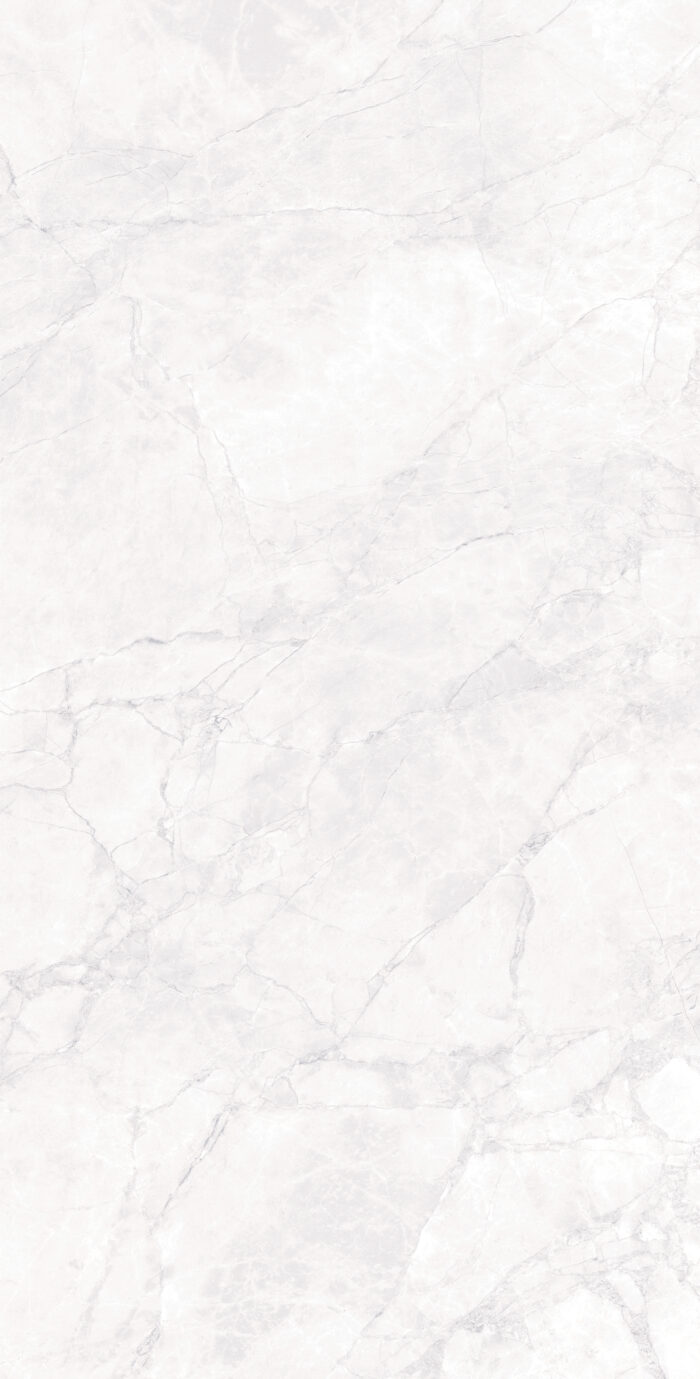 Керамогранит Arcadia Ceramica ARCTIC WHITE 60x120 см — изображение 6