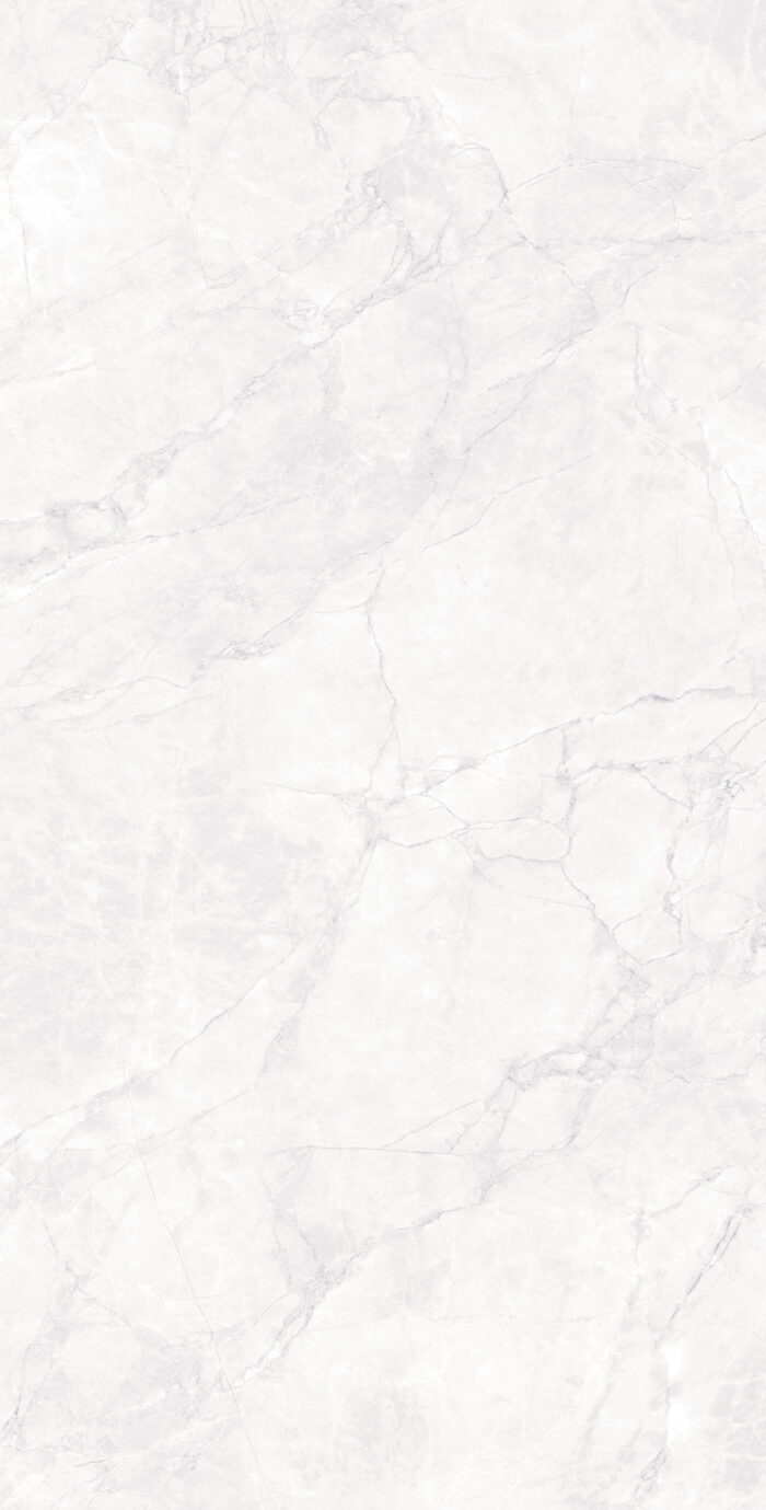 Керамогранит Arcadia Ceramica ARCTIC WHITE 60x120 см — изображение 5