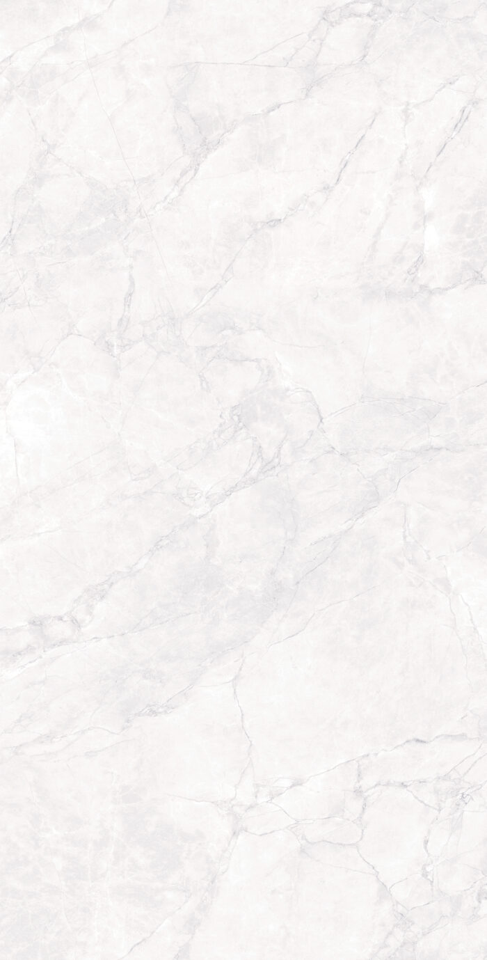 Керамогранит Arcadia Ceramica ARCTIC WHITE 60x120 см — изображение 8