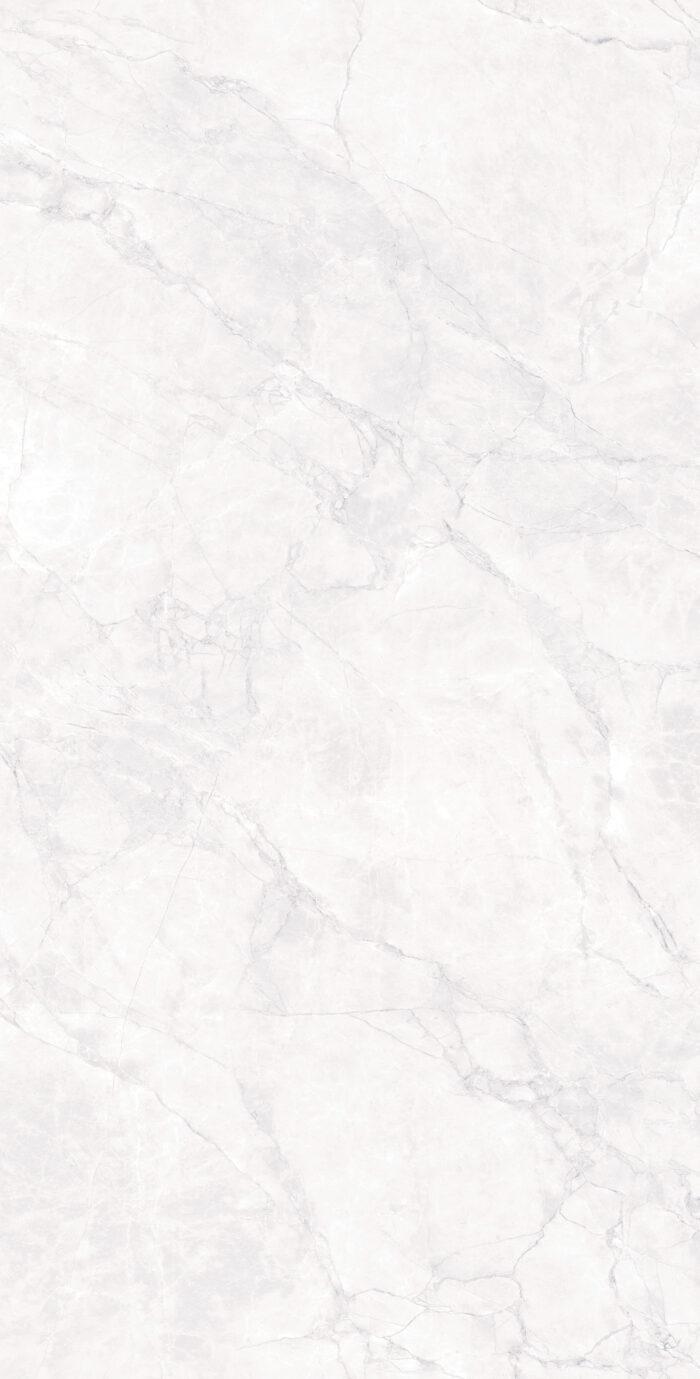 Керамогранит Arcadia Ceramica ARCTIC WHITE 60x120 см — изображение 9