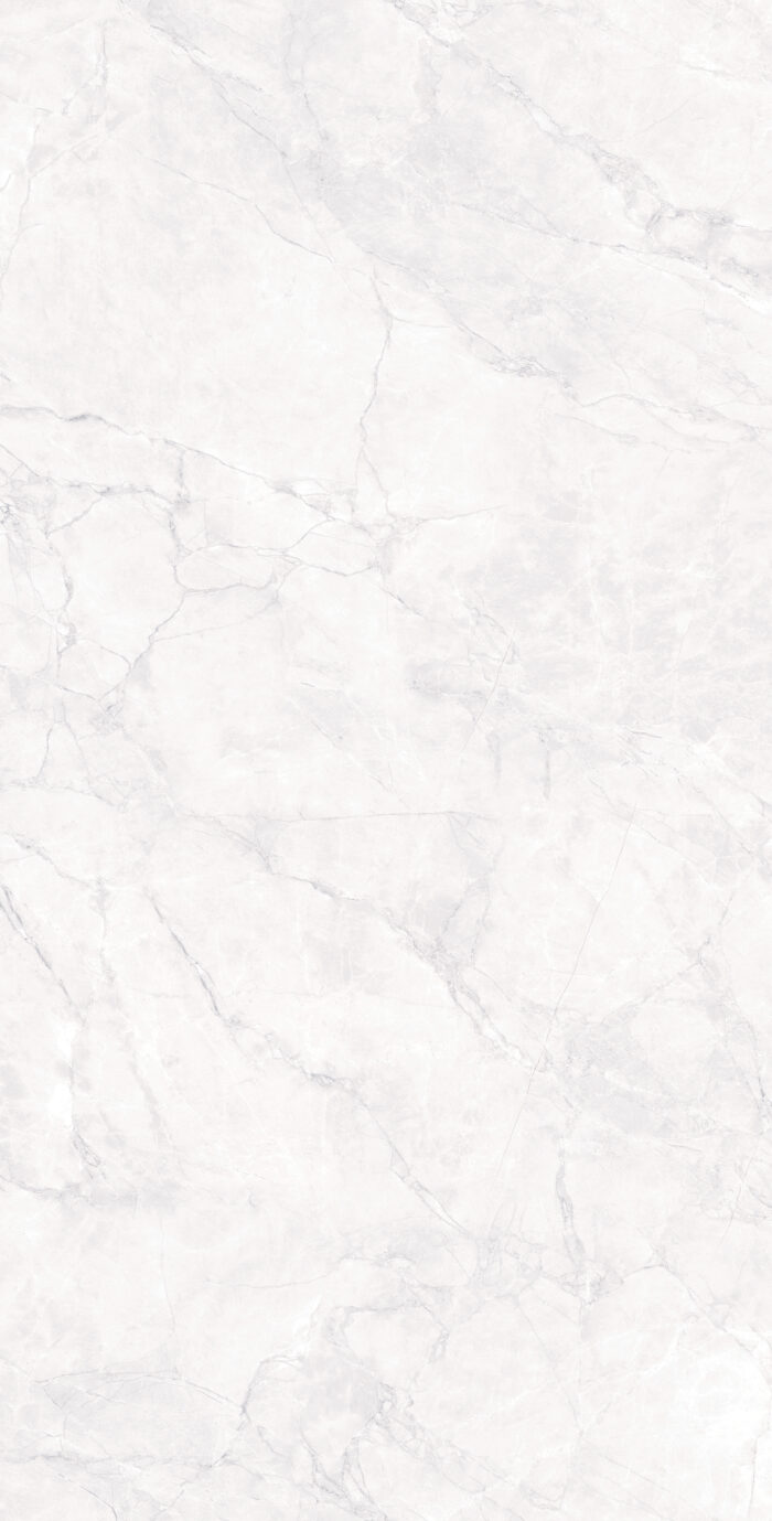 Керамогранит Arcadia Ceramica ARCTIC WHITE 60x120 см — изображение 10