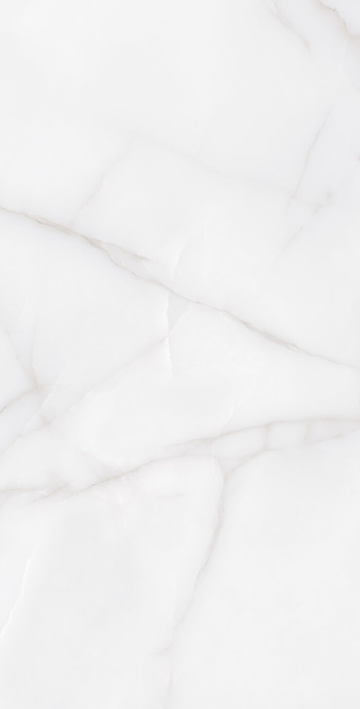 Керамогранит Arcadia Ceramica FEATHER ONYX 60x120 см — изображение 2