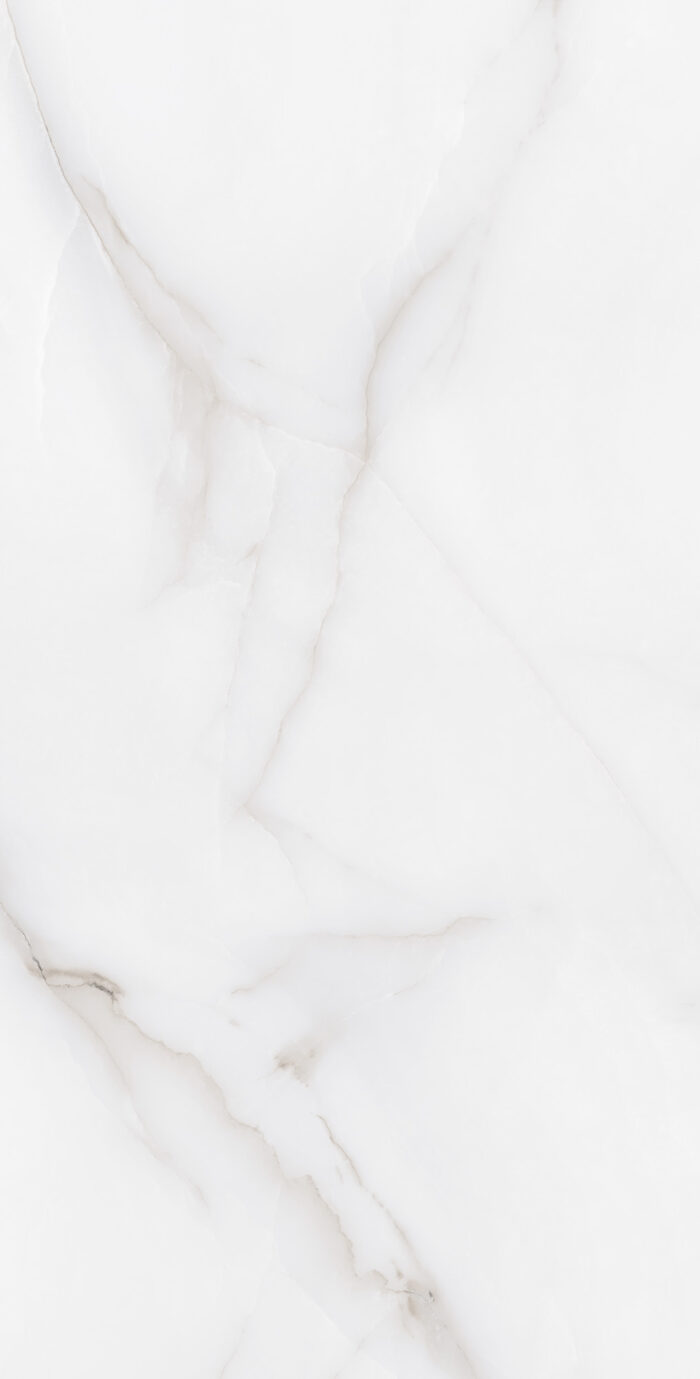Керамогранит Arcadia Ceramica FEATHER ONYX 60x120 см — изображение 5