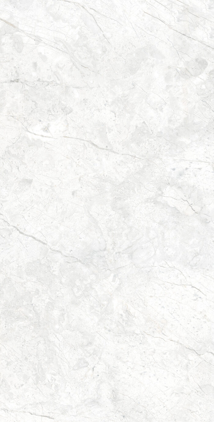 Керамогранит Arcadia Ceramica MARCUS BIANCO 60x120 см — изображение 5