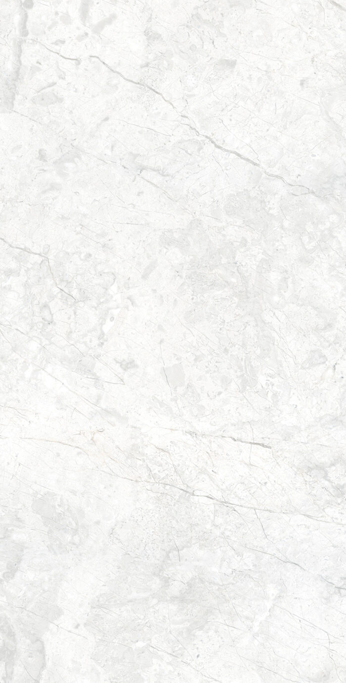 Керамогранит Arcadia Ceramica MARCUS BIANCO 60x120 см — изображение 4