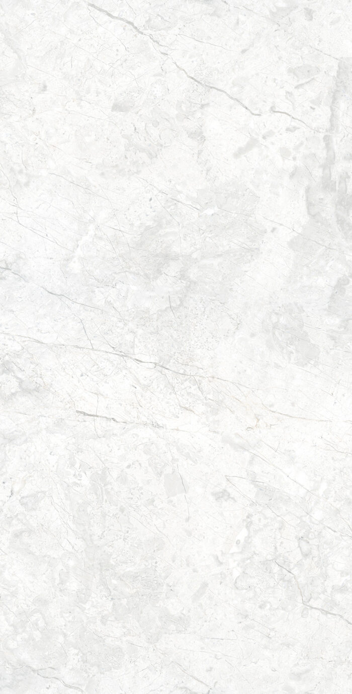 Керамогранит Arcadia Ceramica MARCUS BIANCO 60x120 см — изображение 8