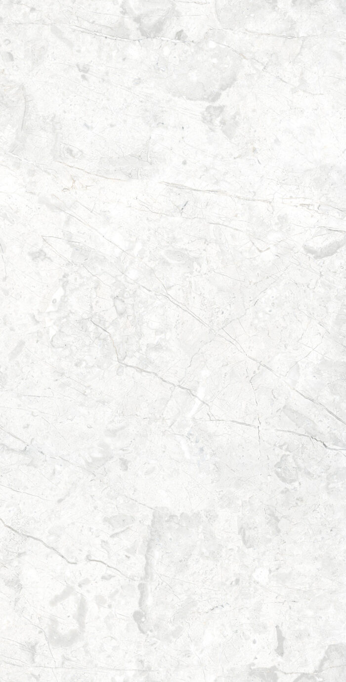 Керамогранит Arcadia Ceramica MARCUS BIANCO 60x120 см — изображение 7