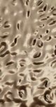 Панель Bonaparte Relief gold 1100x2800x8 мм