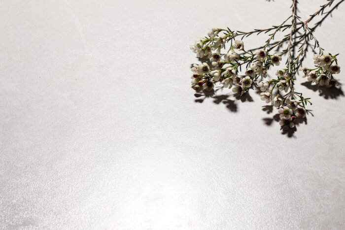 Керамогранит Staro Bogema LAVA WHITE 60x120 см SOFT LAPPATO — изображение 2